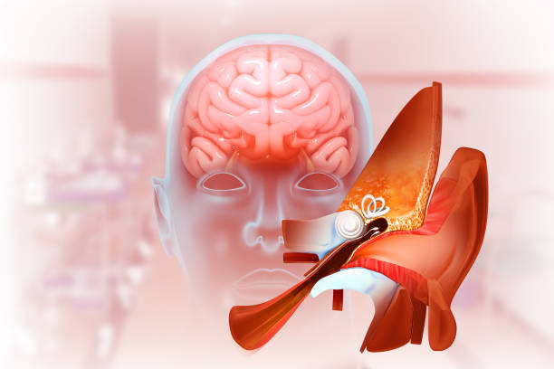 Snoring and Sleep Apnea